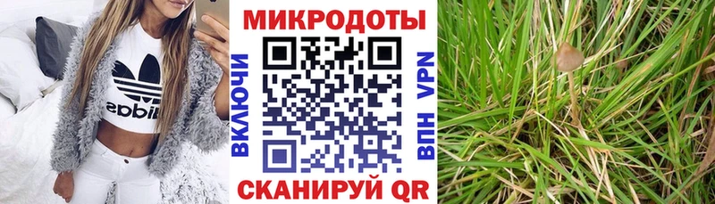 где купить наркотик  Нижняя Салда  Галлюциногенные грибы Cubensis 